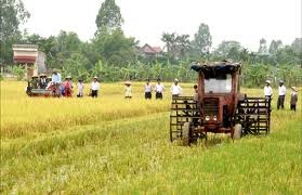 យន្តូបនីយកម្មផ្នែកកសិកម្មរួមចំណែកដល់ការកសាងជនបទថ្មី - ảnh 1